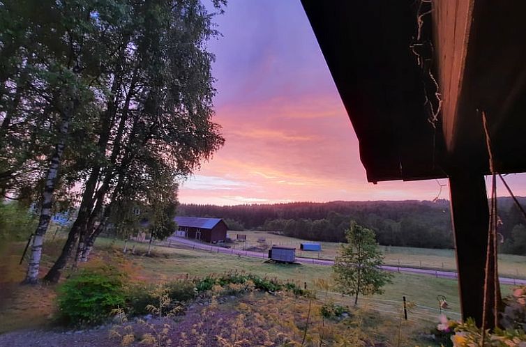 Entdecken Sie die ruhige Natur rund um Ihr Ferienhaus in Torsby, Svealand, Schweden, mit einem wunderschoenen Abendhimmel.