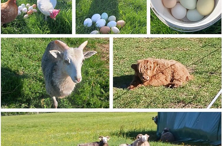 Vakantiehuis in Torsby