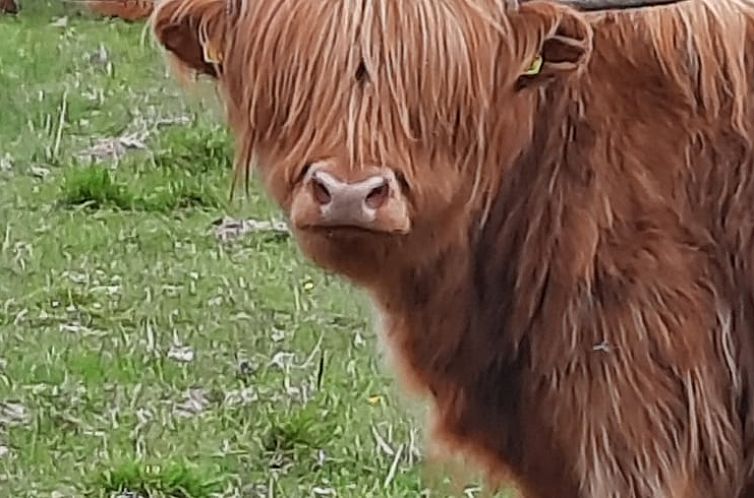 Vakantiehuis in Torsby