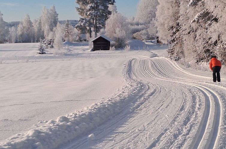 Vakantiehuis Hjortgården Villa