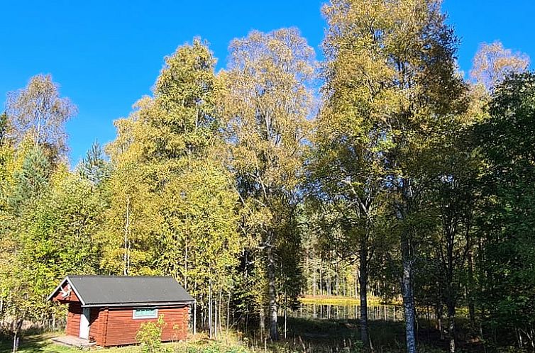 Vakantiehuis in Lesjöfors