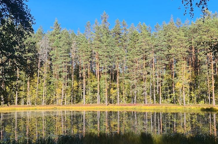 Vakantiehuis in Lesjöfors
