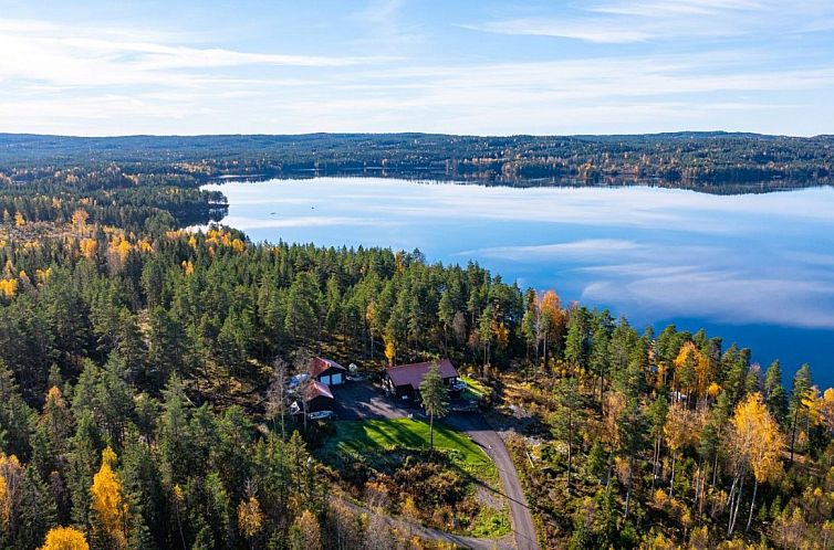 Guest house 17220602 - Holiday property Svealand - Vrijstaande woning in Skillingsfors