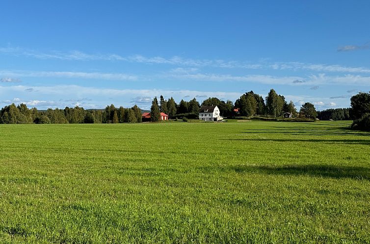 Vrijstaande woning in Furudal