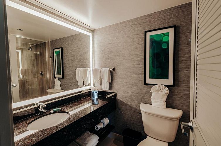 DoubleTree Suites by Hilton Hotel & Conference Center Chicag