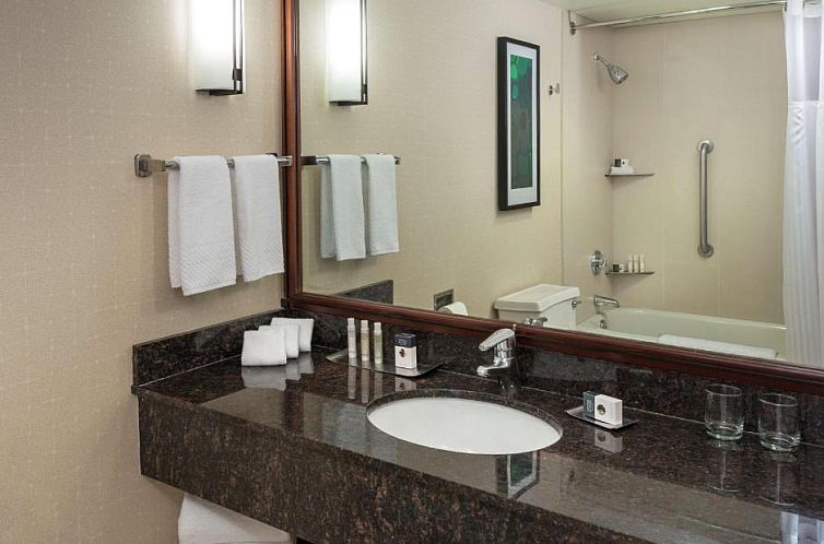 DoubleTree Suites by Hilton Hotel & Conference Center Chicag