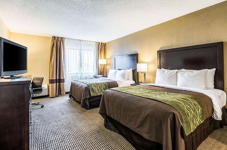 Comfort Inn Downtown Detroit