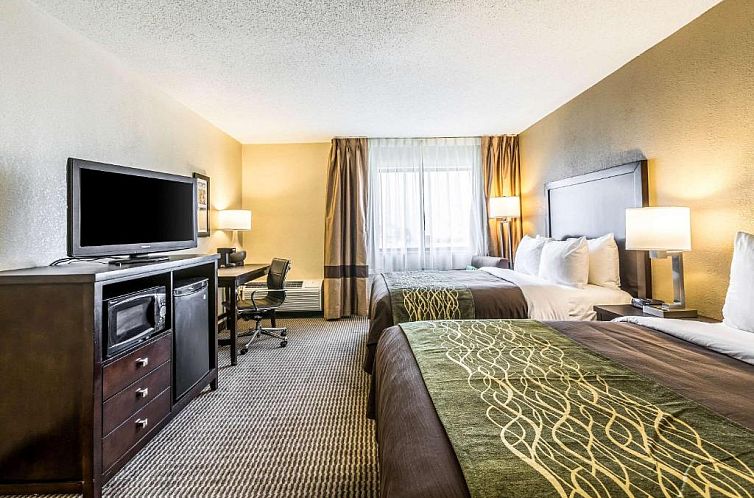 Comfort Inn Downtown Detroit