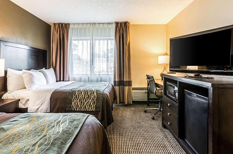 Comfort Inn Downtown Detroit