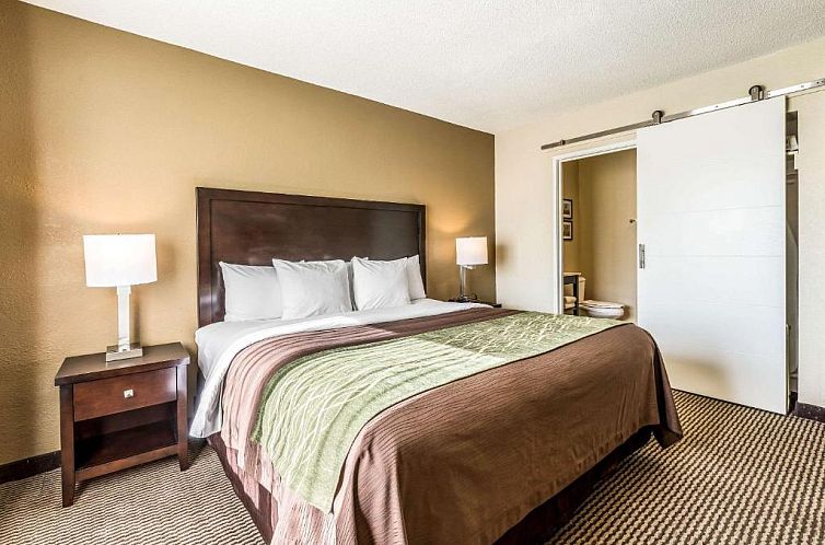 Comfort Inn Downtown Detroit