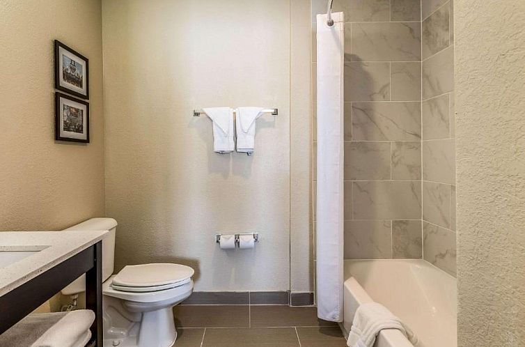 Comfort Inn Downtown Detroit