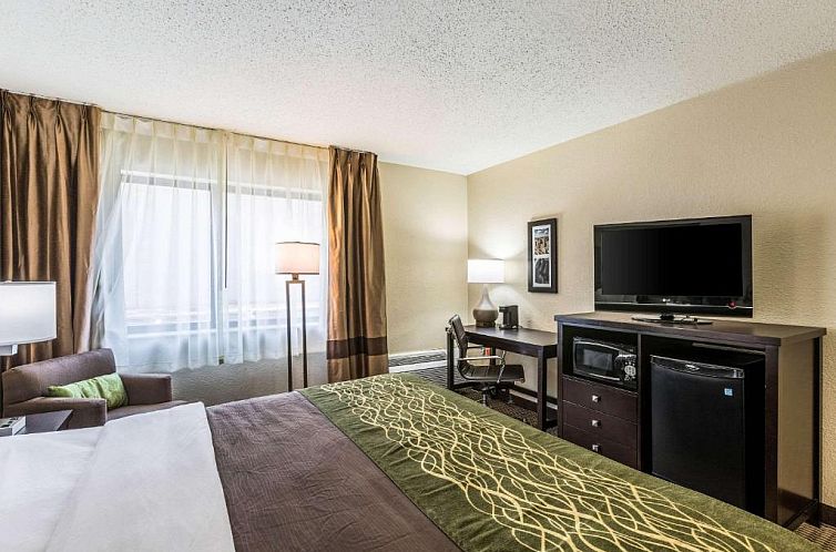 Comfort Inn Downtown Detroit