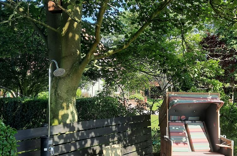 Huisje in Eesergroen