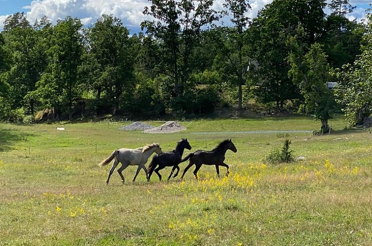 Huisje in VAldemarsvik