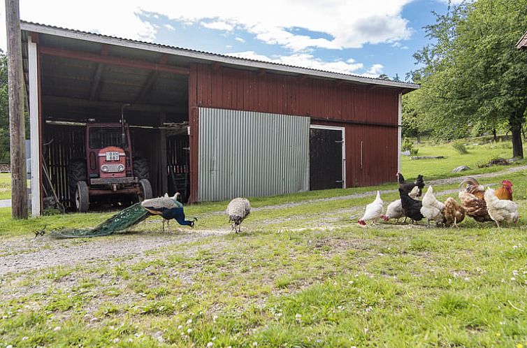 Huisje in VAldemarsvik