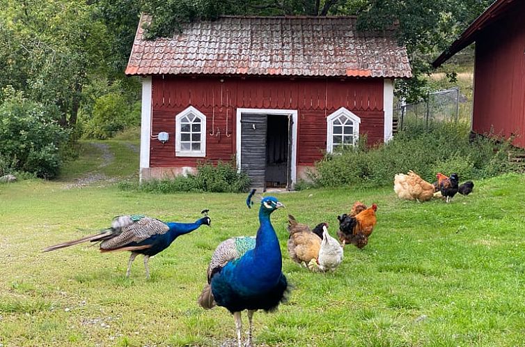 Huisje in VAldemarsvik