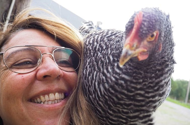 Huisje in VAldemarsvik