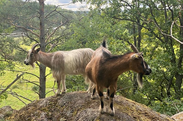 Huisje in VAldemarsvik