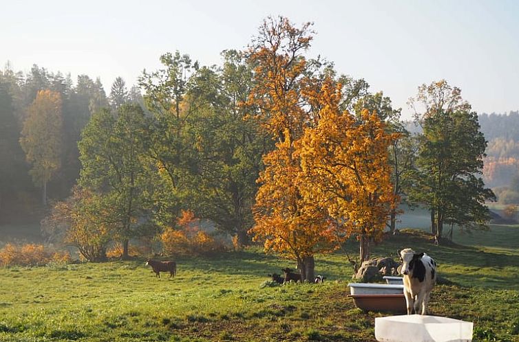 Huisje in VAldemarsvik