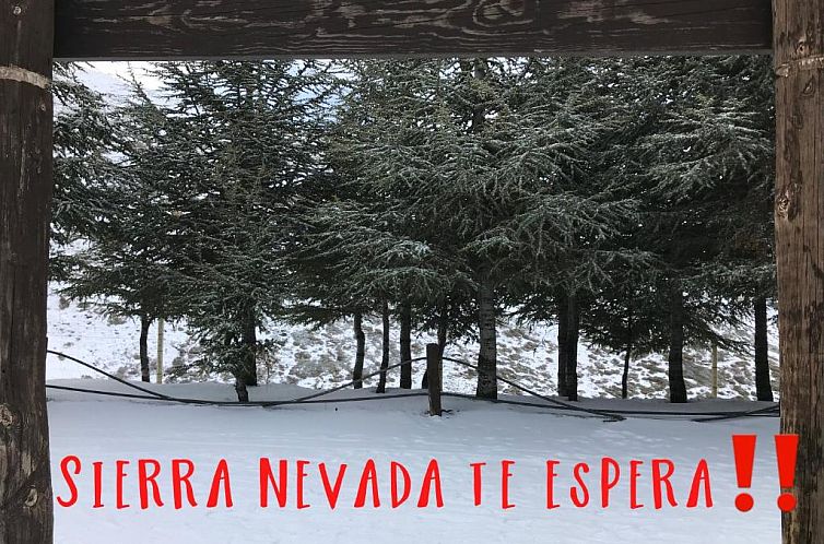 Inside Plaza Sierra Nevada