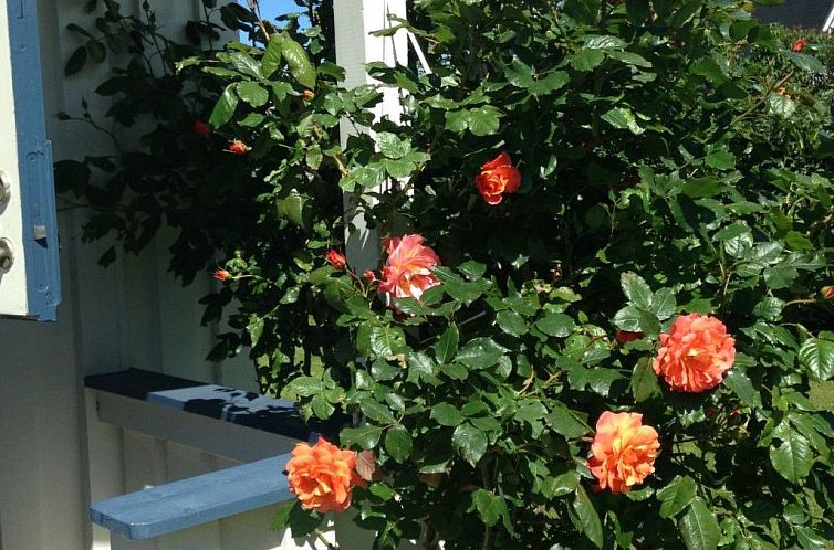 Vakantiehuis "Torekov" mit Blick auf das Wasser
