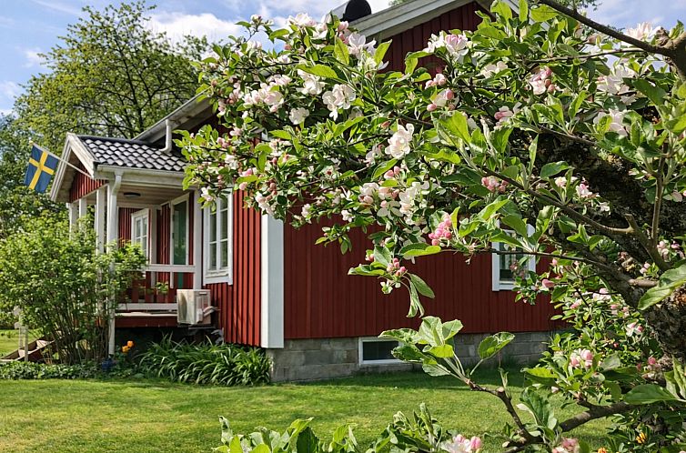 Vakantiehuis Heagård