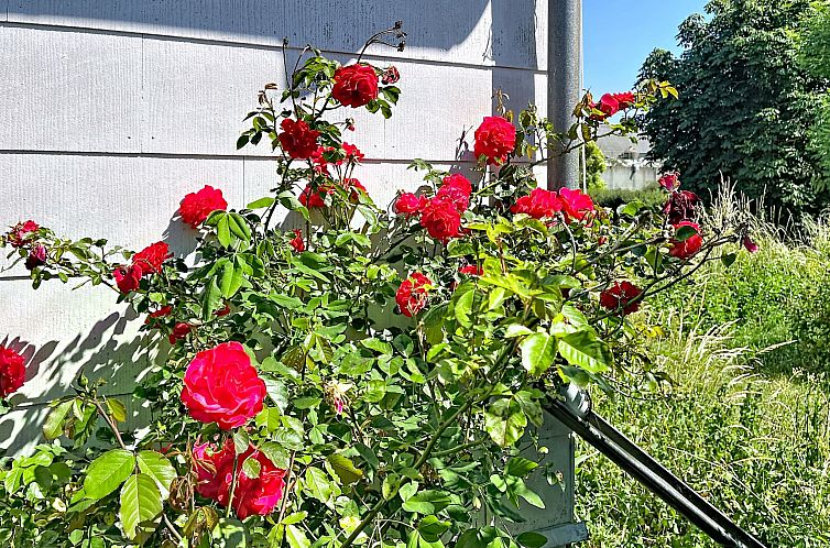 Vakantiehuis Melösa