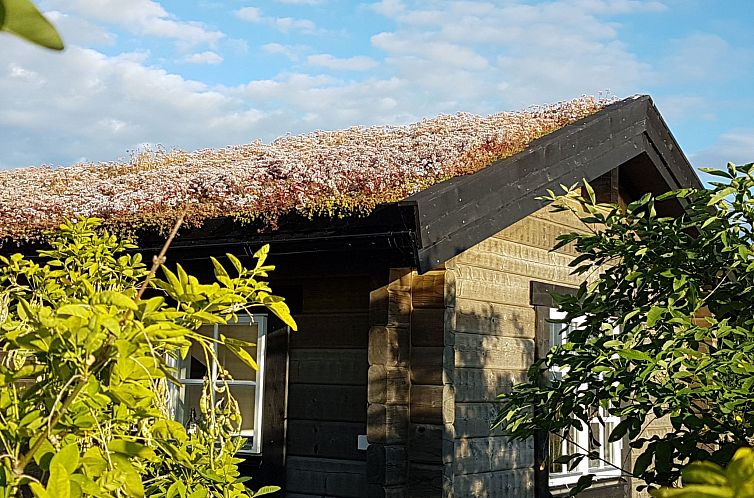 Vakantiehuis Sjötorpet - einzigartige Unterkunft am Meer