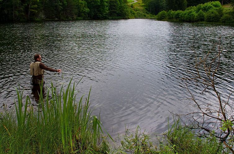 Vakantiehuis direkt am See gelegen