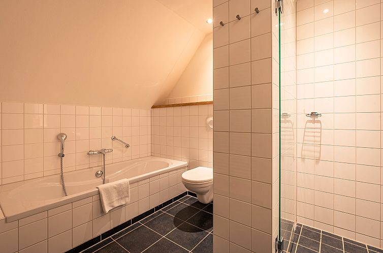 Hof van Saksen | 10-persoons 'kinder'boerderij | 10CEK