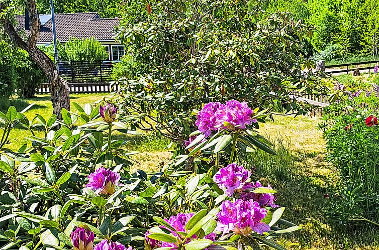 Vakantiehuis 