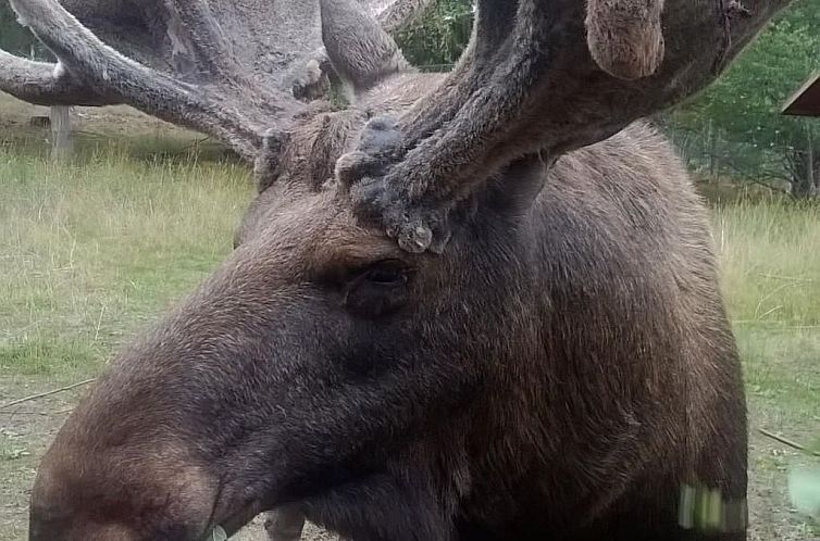 Vakantiehuis Karlsson