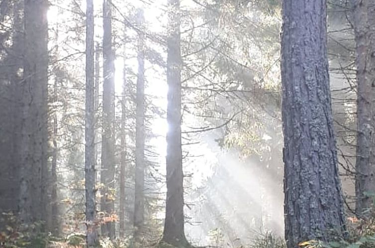 Vakantiehuisje in Hjorted