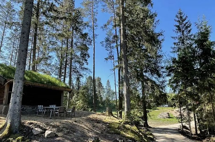 Vingen