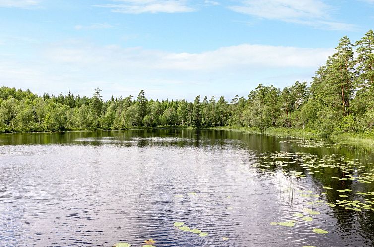 Vakantiehuis Hökagården