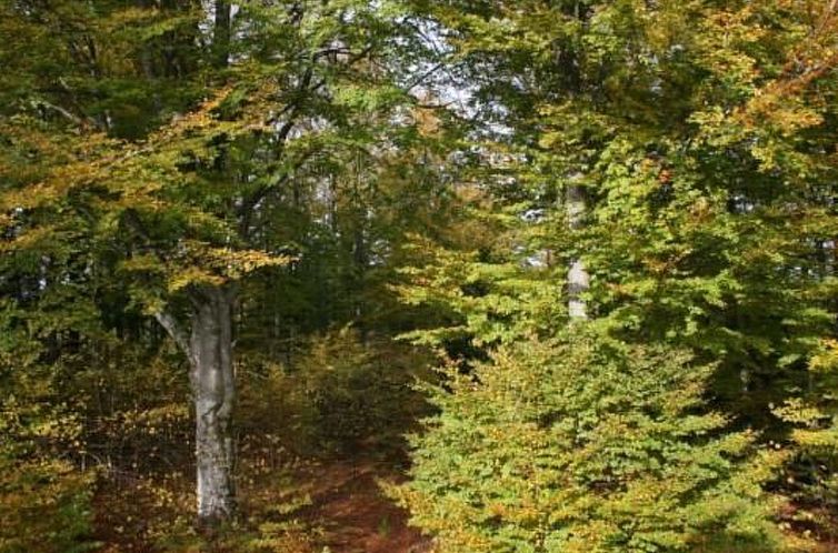 Appartement Wohnung Linné außerhalb von Älmhult