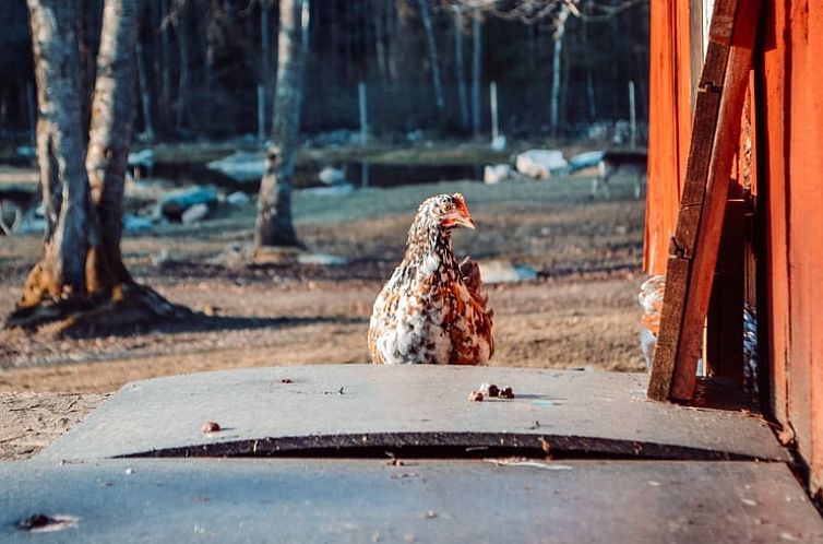 Vakantiehuis in Tyringe