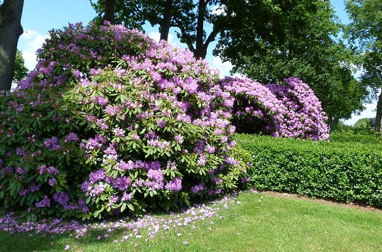 Vakantiehuis in Smilde