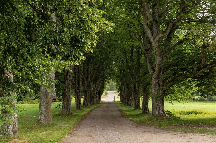 Vakantiehuis Skogstorpet