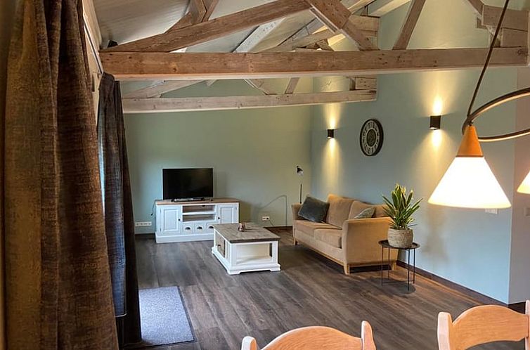 Cozy living room in Holiday Home in Odoorn, Midden Drenthe, with comfortable sofa and TV.