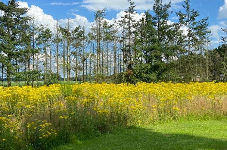 Vakantiehuis in Odoorn