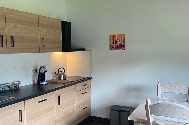 Vakantiehuis in Odoorn