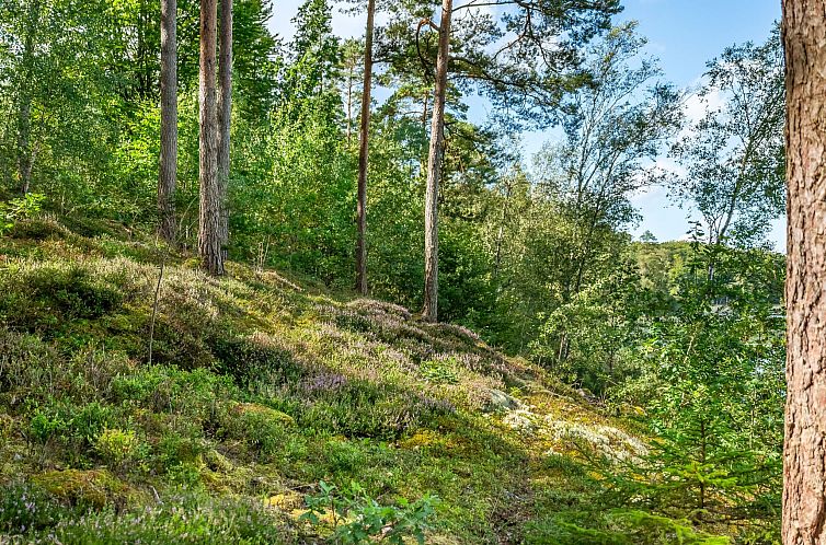 Vakantiehuis Gaslunda Tvåan