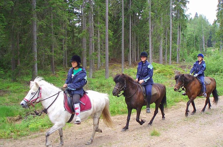 Vakantiehuis Paradisvilla