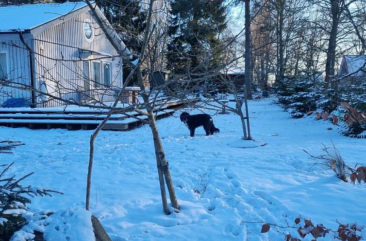Vakantiehuis mit Terrasse, Grill und Garten