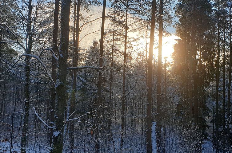Vakantiehuis mit Terrasse, Grill und Garten