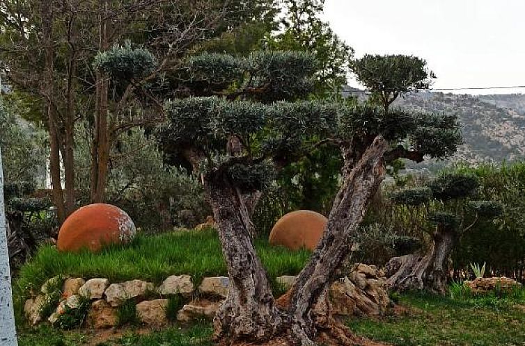 Complejo Rural Ibipozo