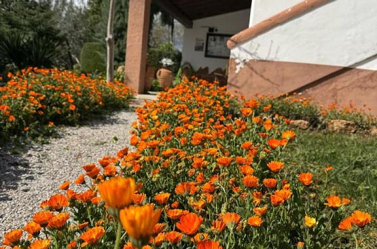 Complejo Rural Ibipozo