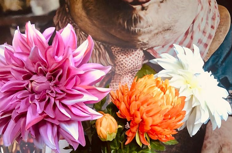 Vakantiehuisje in Zuidveld