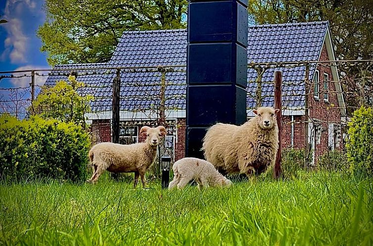 Vakantiehuisje in Zuidveld